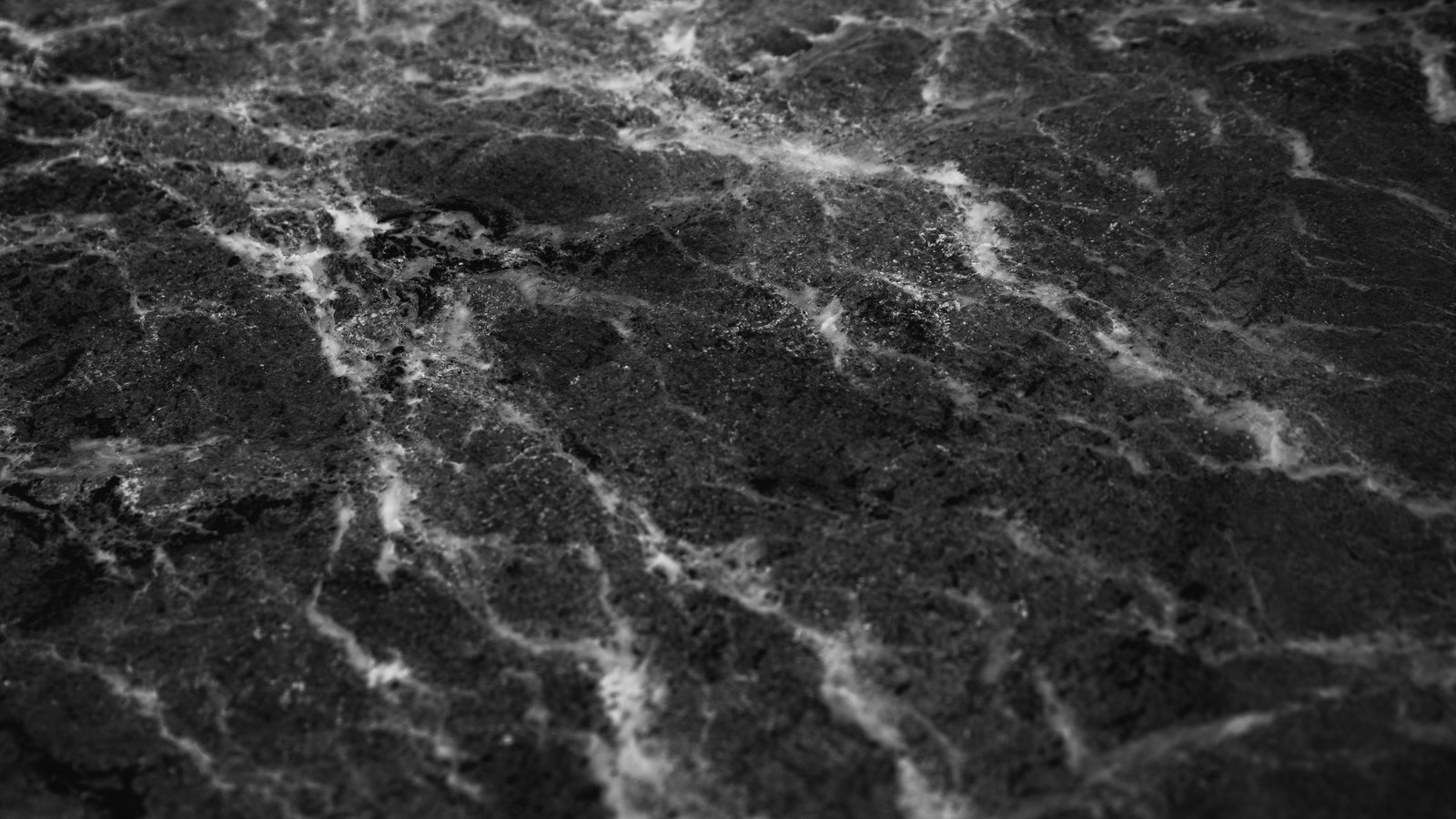 A black and white macro under raking light of one dark-toned veined stone face filling the frame, pale veins branching from lower left to upper right, some hairline and some broadening into chalky feathered bands, the granular ground between them flecked with minerals, the surface matt, sharp at lower left and falling into blur at upper right, with no edge and nothing to give it scale.